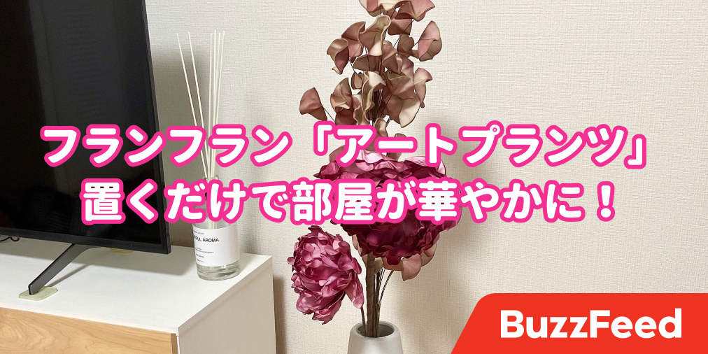 フランフランずるい こんなに かわいい造花 絶対買っちゃうじゃん フランフランずるい こんなに かわいい造花 絶対買っちゃうじゃん