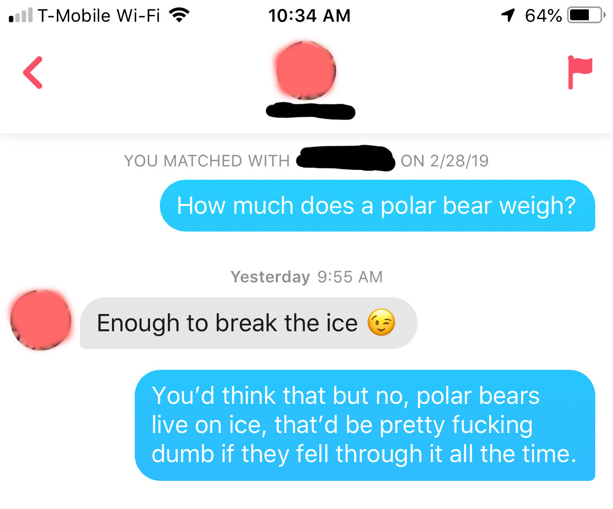 person butchering the &quot;polar bear weighs enough to break the ice&quot; line