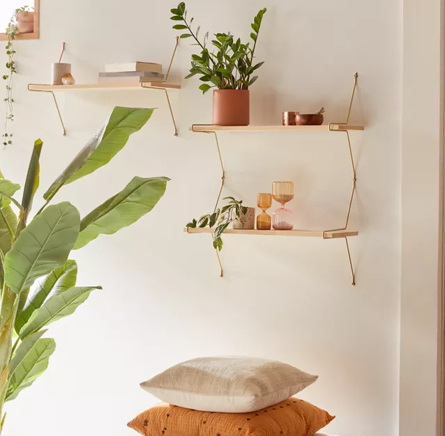 Two shelves on the wall with plants and small hourglasses on them