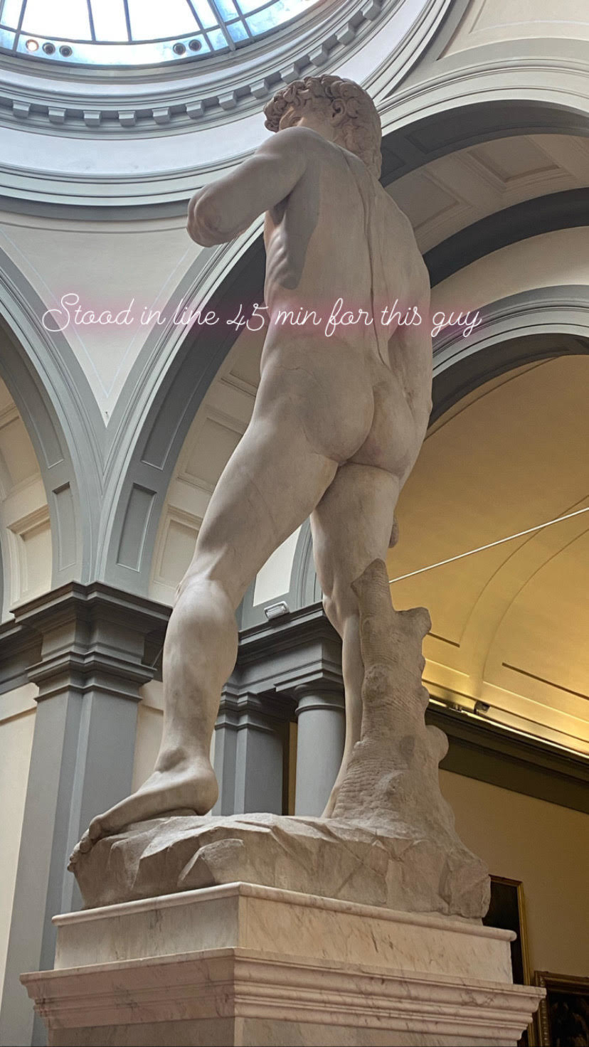 back view of Michelangelo&#x27;s David statue