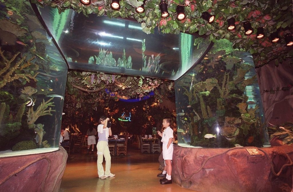 people inside of a Rainforest Cafe