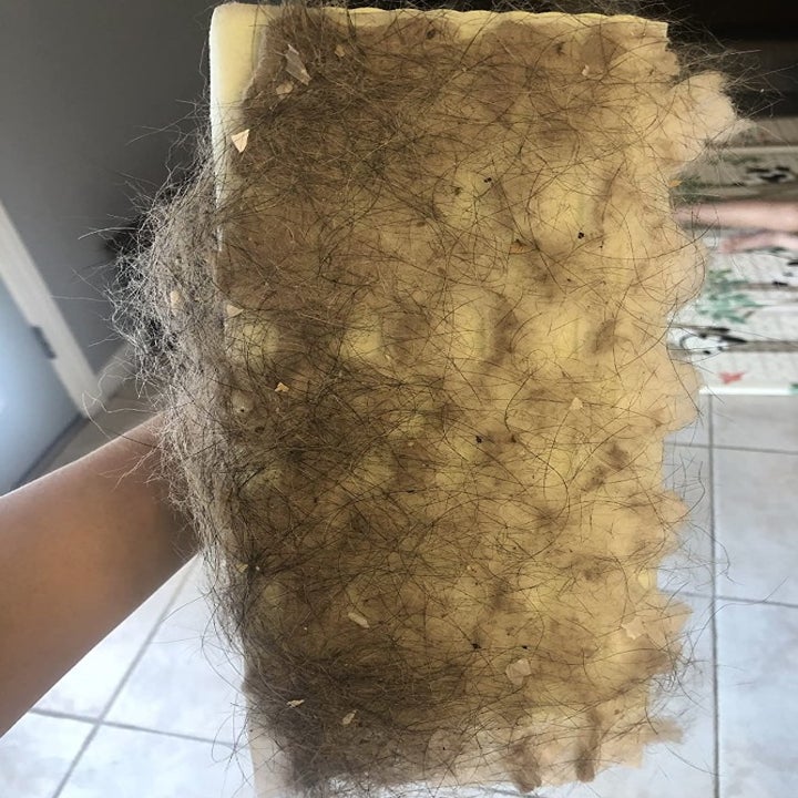 A reviewer displaying puppy hair that was swept up by the wet &amp; dry Swiffer sweeper 