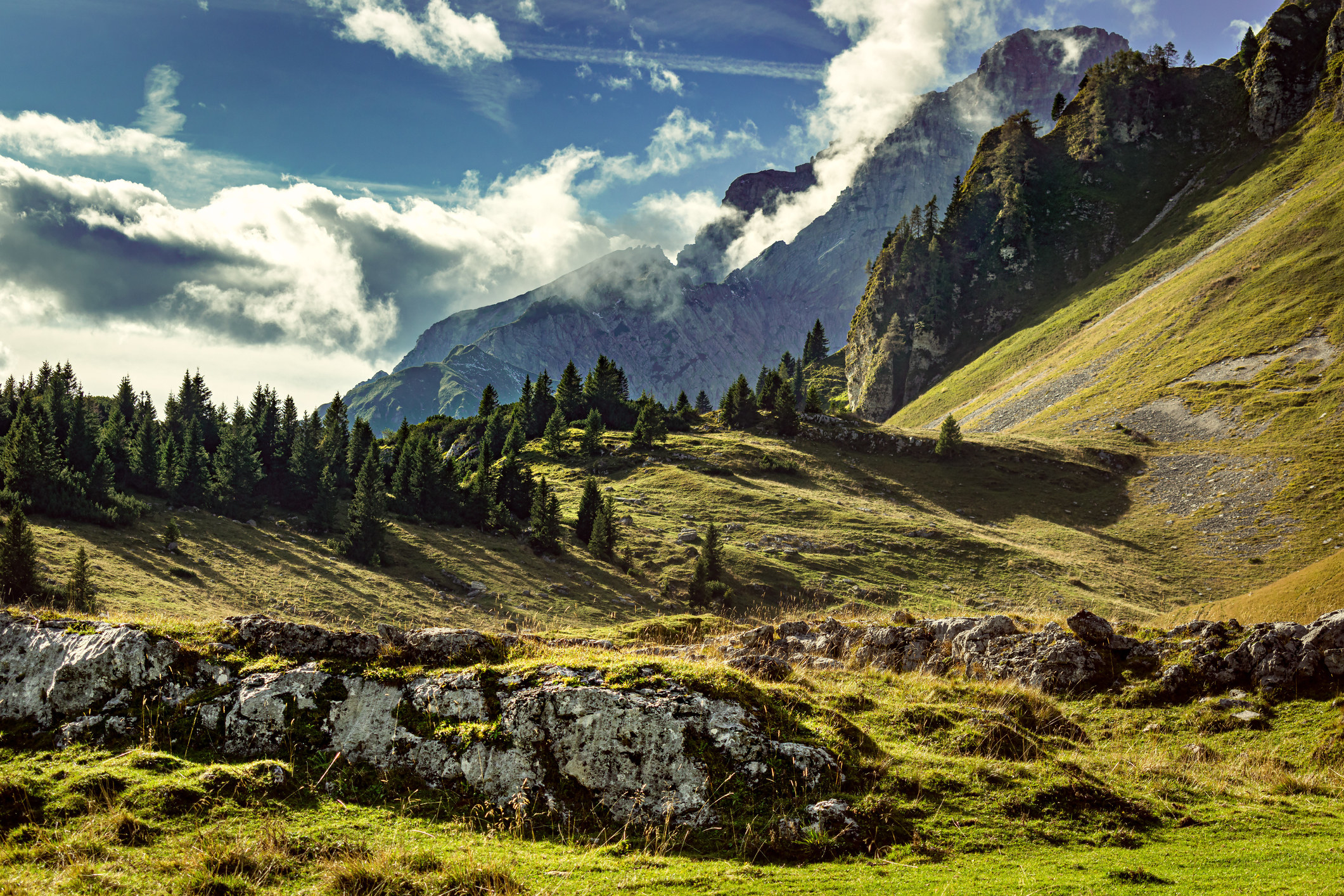 A mountain landscape at Dolomiti Bellunesi National Park.