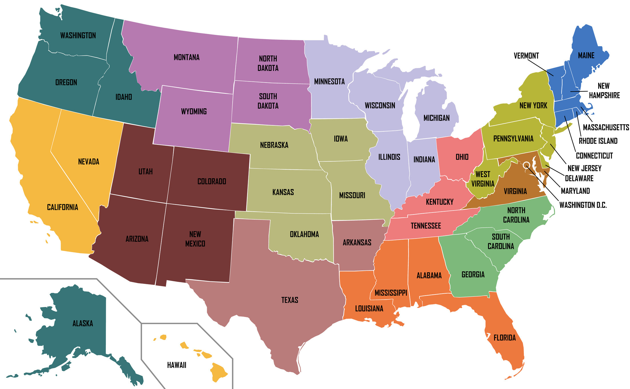 Seat Belt Laws by State