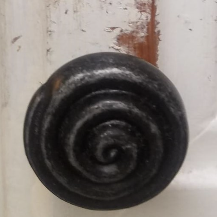 cabinet knob with paint chipped around edges 