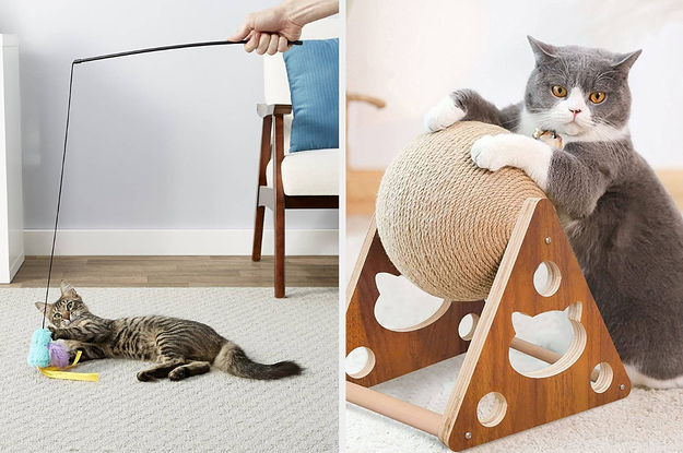 cat furniture accessories