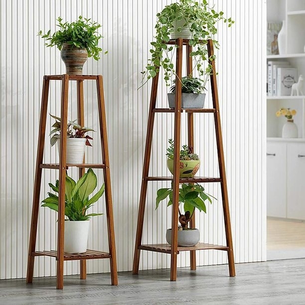 Two plant stands holding plants