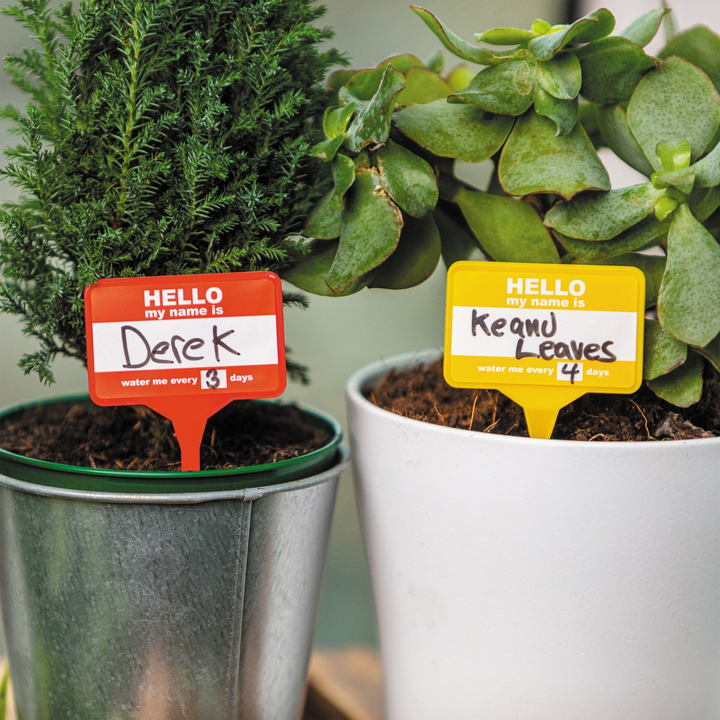 Two plant name badges in two plants