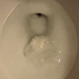 Gif of a toilet tablet fizzing and dissolving