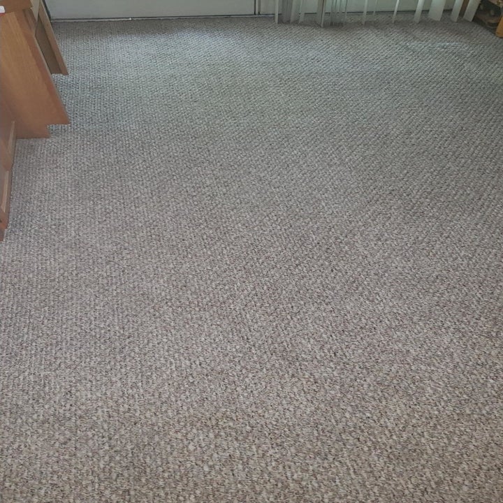 the same carpet looking totally cleaned