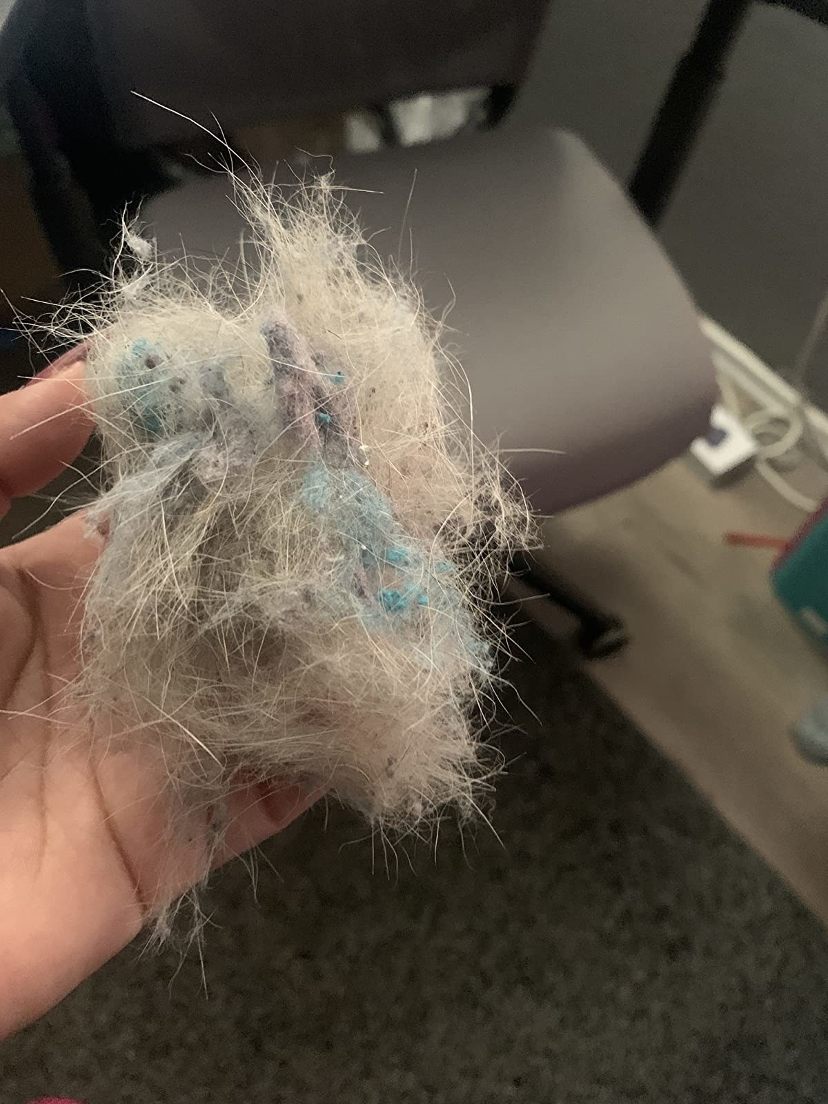 the dog hair removed from the lint trap