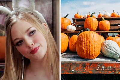 On the left, Karen from Mean Girls wearing mouse ears at the Halloween party, and on the right, a bunch of pumpkins at the pumpkin patch