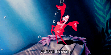 Sebastian singing &quot;under the sea&quot; and dancing on a rock
