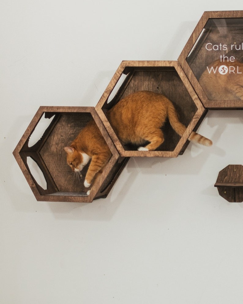 an orange and white cat climbing in the hexagon shaped furniture