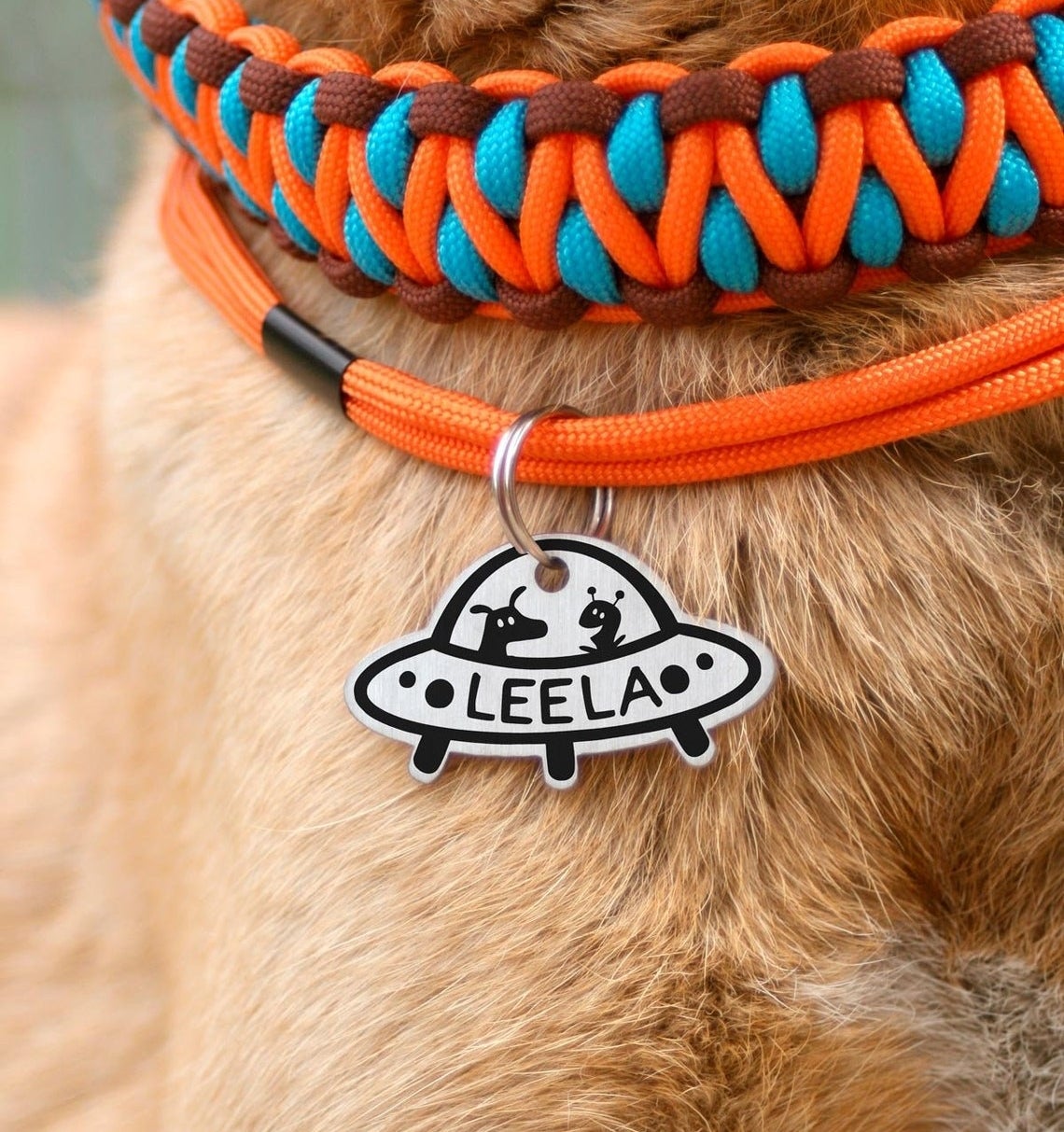 dog wearing tag with a UFO design and their name inside the UFO
