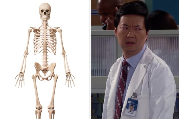 This Bones Anatomy Pop Quiz Was Made For Seventh Graders, But I'm Not Confident You'll Pass