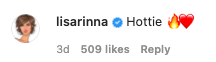 Lisa Rinna dropped this comment along with a fire emoji and a heart emoji