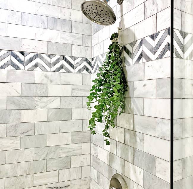 The eucalyptus bundle under a shower head in a bathroom