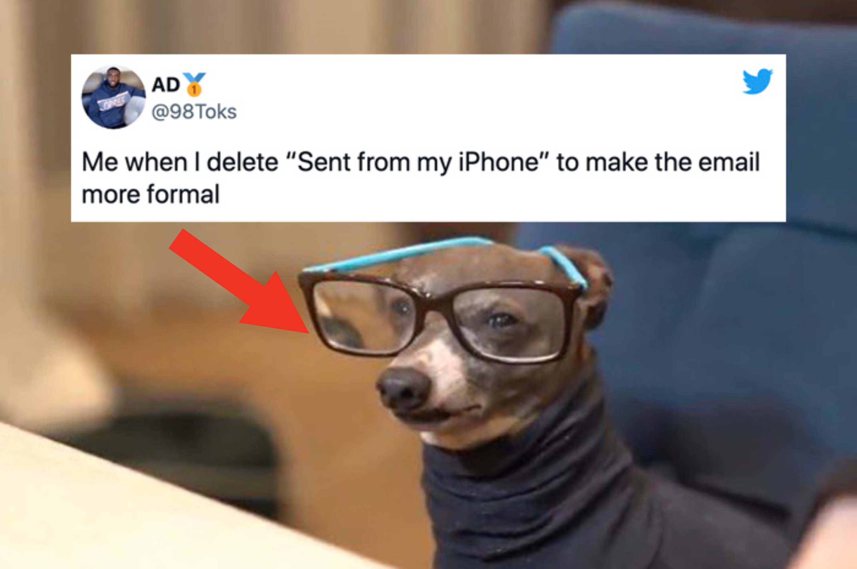 19 Funny iPhone Tweets In Honor Of iPhone 13