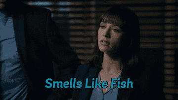 Rashida Jones saying &quot;smells like fish&quot;