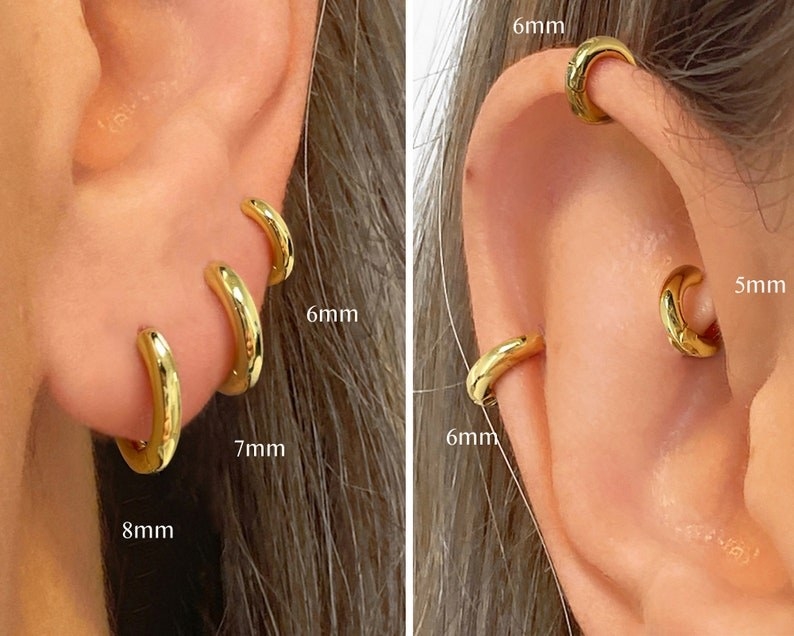 ears with various sized hoops