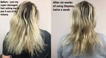 A review photo showing their hair before and after using the treatment