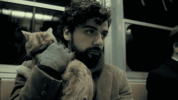 GIF of Oscar Isaac holding a cat on the subway and patting its back