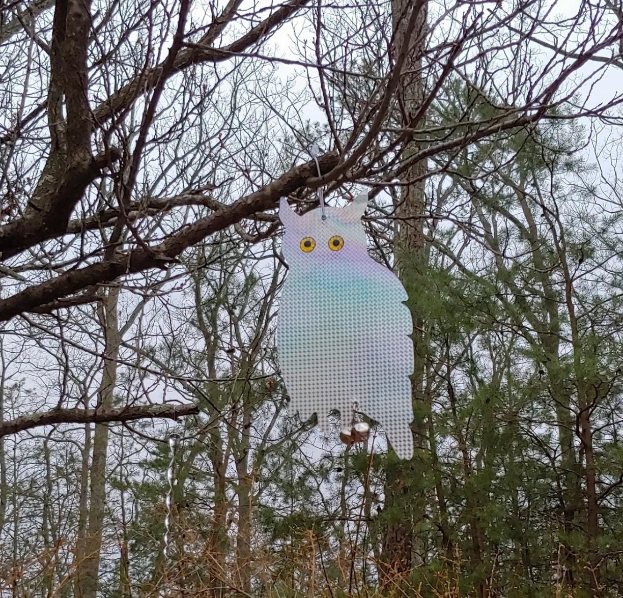 reflective owl paper in tree
