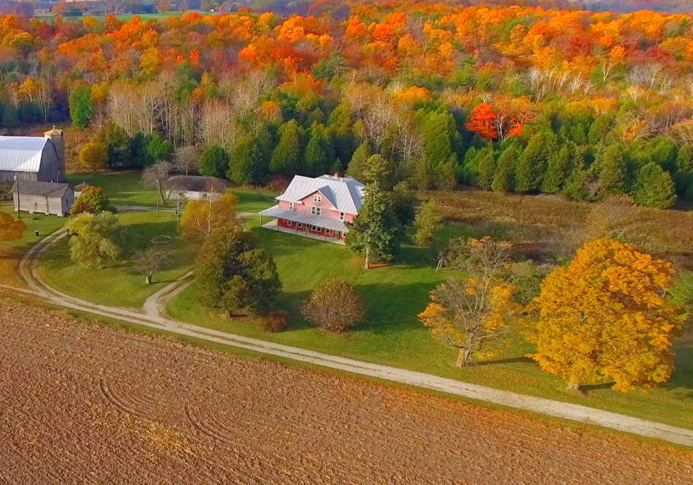 Fall leaves in Door County, Wisconsin