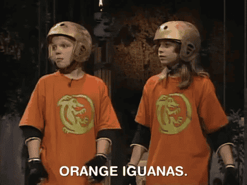 Two contestants in orange shirts stand side by side. The words &quot;Orange Iguanas&quot; flash before them.&quot;