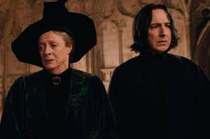 McGonagall and Snape standing next to each other in Harry Potter and the Chamber of Secrets, frowning