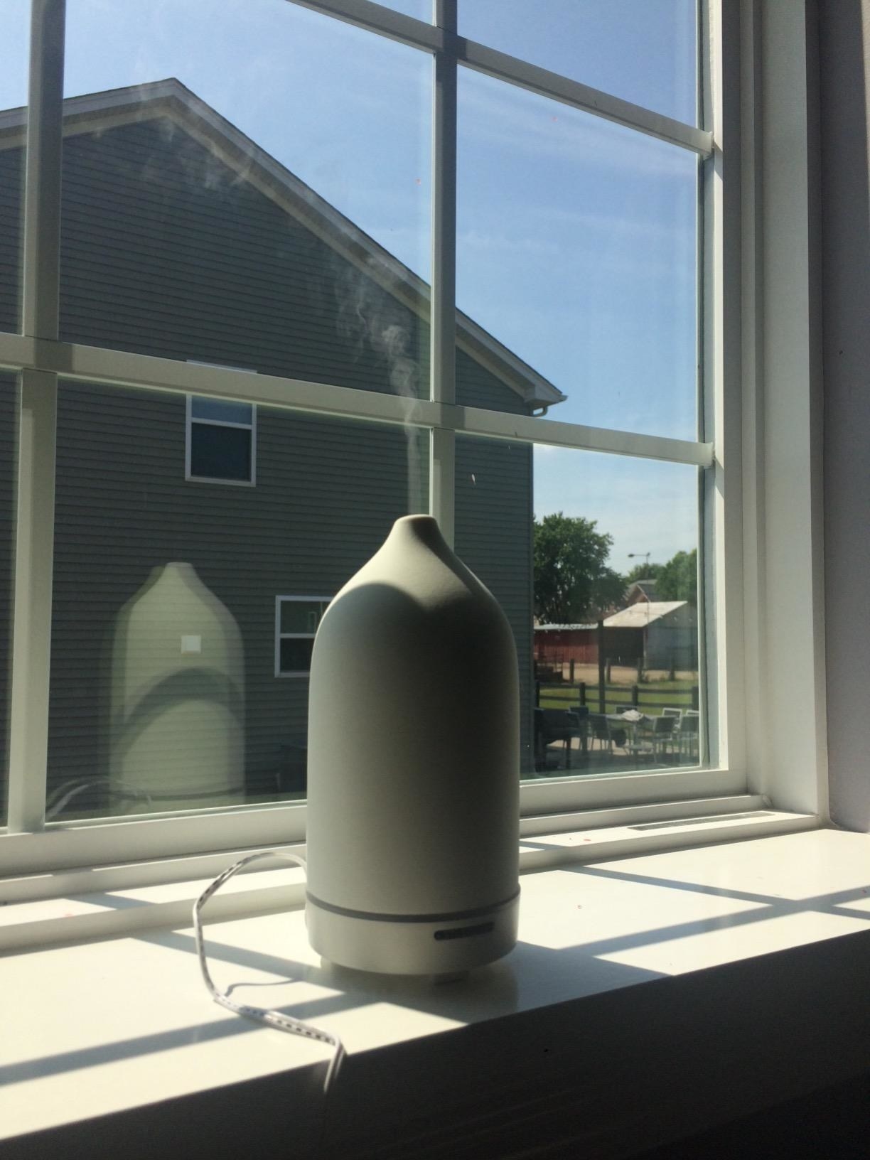 reviewer photo of white vitruvi stone diffuser on a window sill