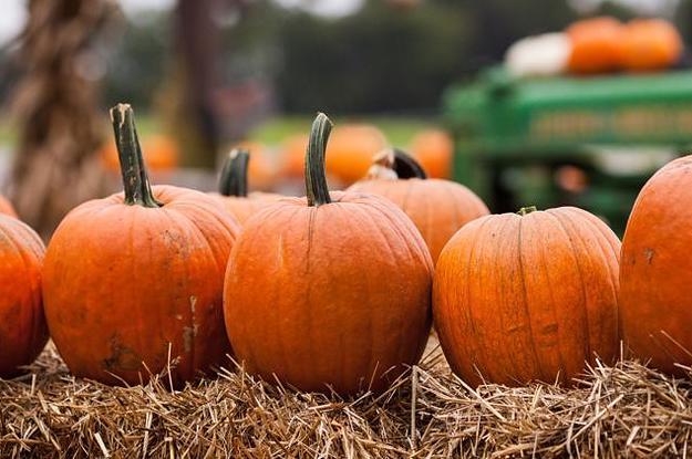 Not To Spook You Out Or Anything, But I Totally Know What Your Favorite Type Of Pumpkin Is