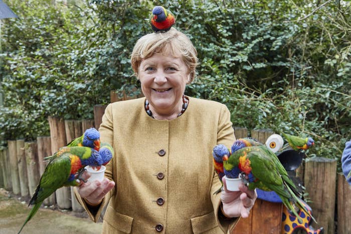 Merkel smiles as six colorful birds eat birdseed from cups she is holding and one perches on her head