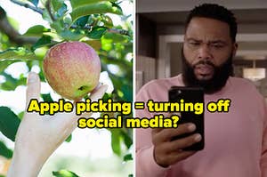 A hand reaches up to take an apple from a tree and Dre Johnson looks at his cell phone during an episode of "Black-ish"