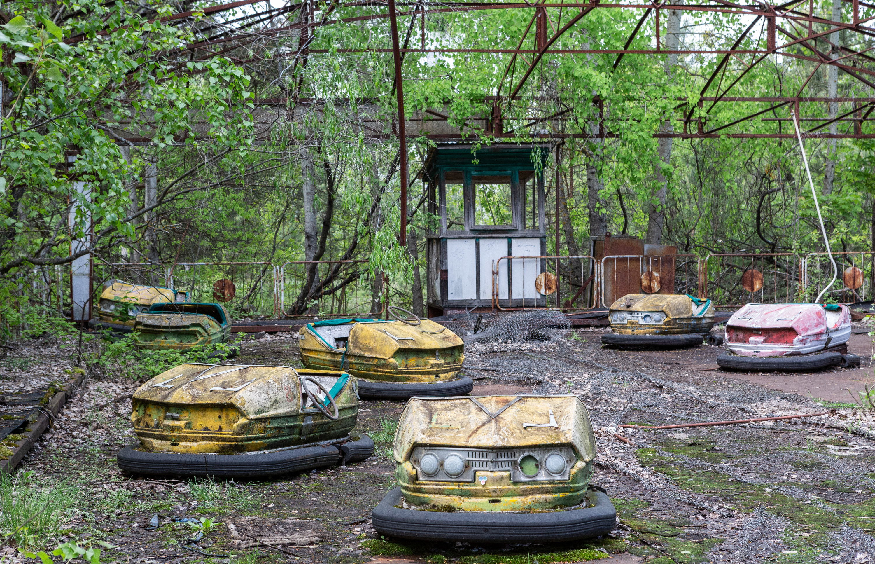 abandoned bumper cars in a forest