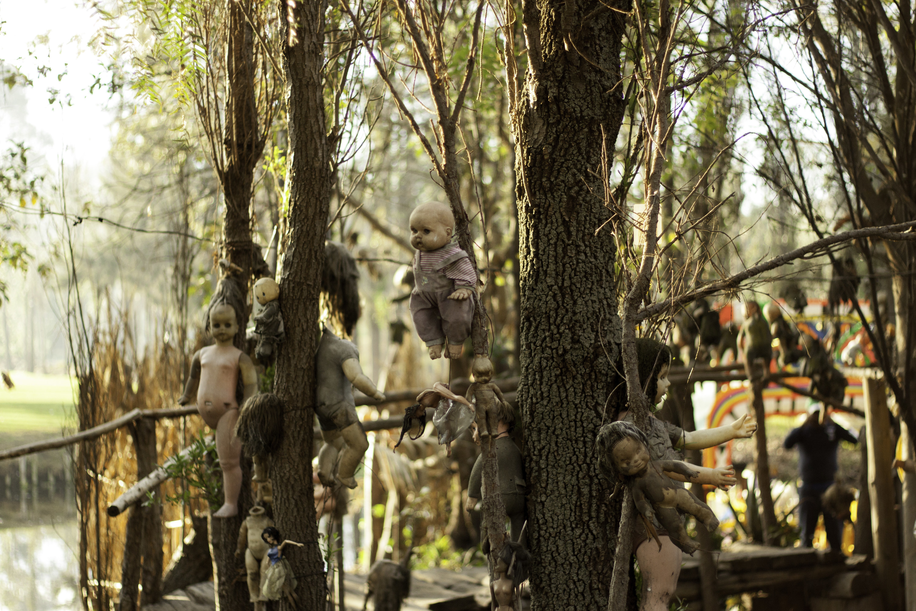 eery forest with broken dolls hanging from the trees
