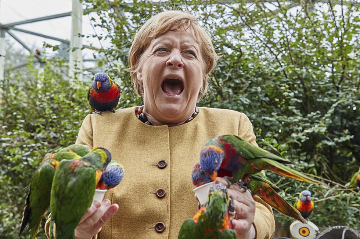 These Pics Of Angela Merkel Covered In Birds Are Now A Meme And It's Sehr Gut