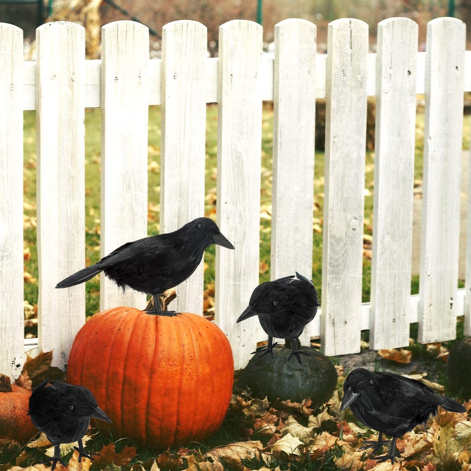 Cuervos negros decoración Halloween
