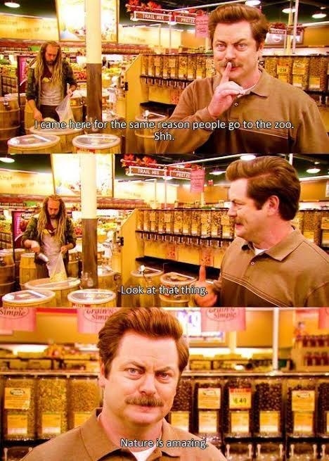 GIF of Ron Swanson observing people at the supermarket.