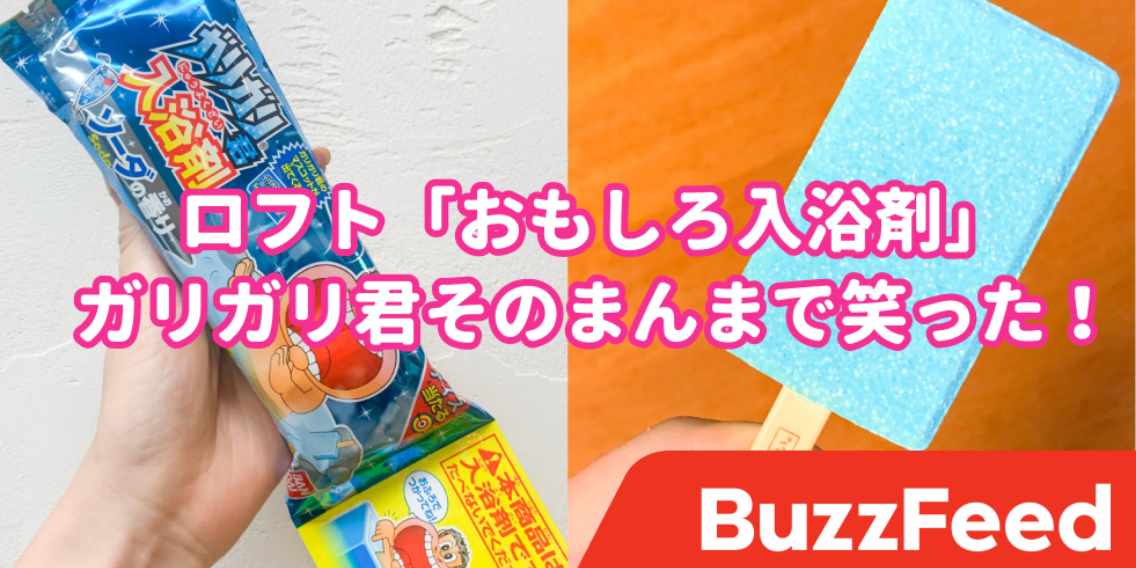 あのガリガリ君が生活雑貨に ロフトで見つけた 意外すぎるグッズ 斬新すぎて笑った
