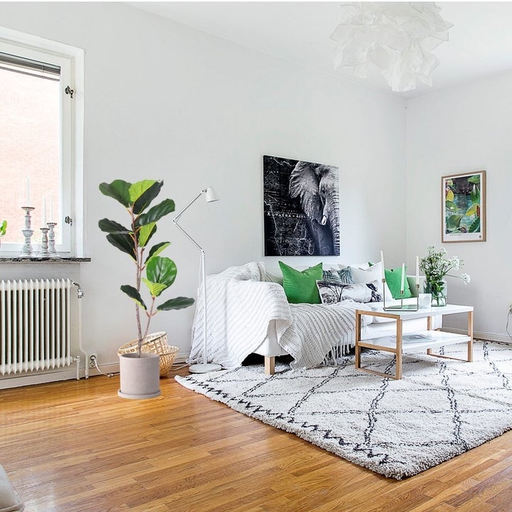 the artificial fiddle leaf fig plant in a living room