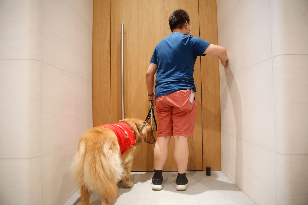 A man with a guide dog standing in front of a door