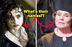 A close up of Bellatrix Lestrange and Dolores Umbridge from the "Harry Potter" series