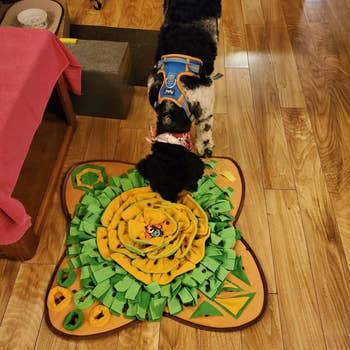 a reviewer photo of a dog sniffing out a toy in the mat
