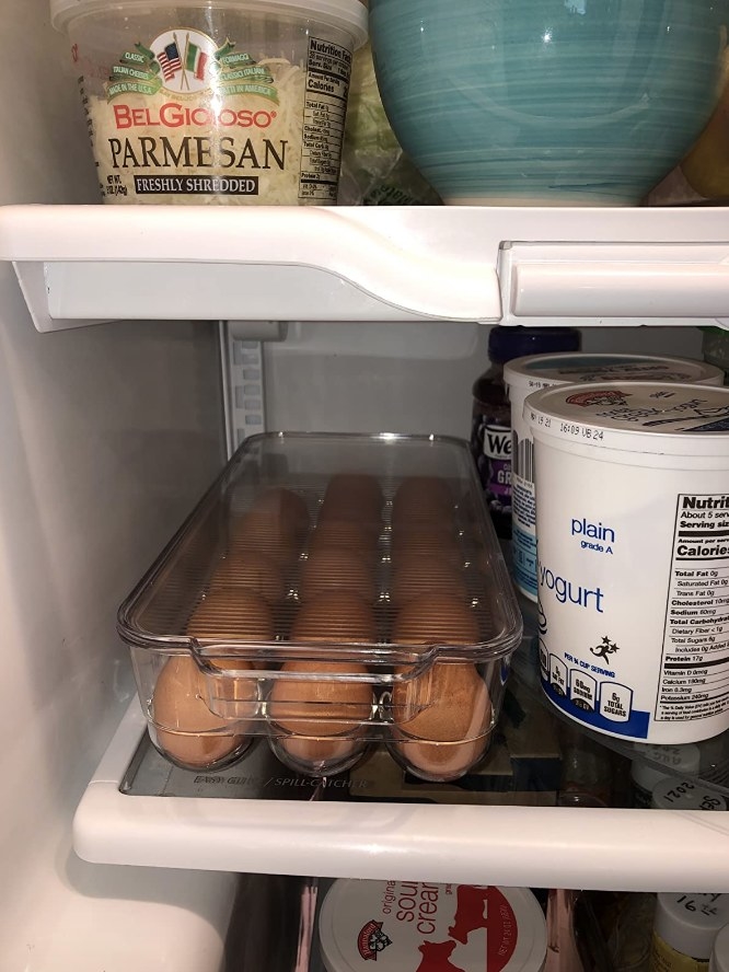 Brown eggs in clear tray in fridge