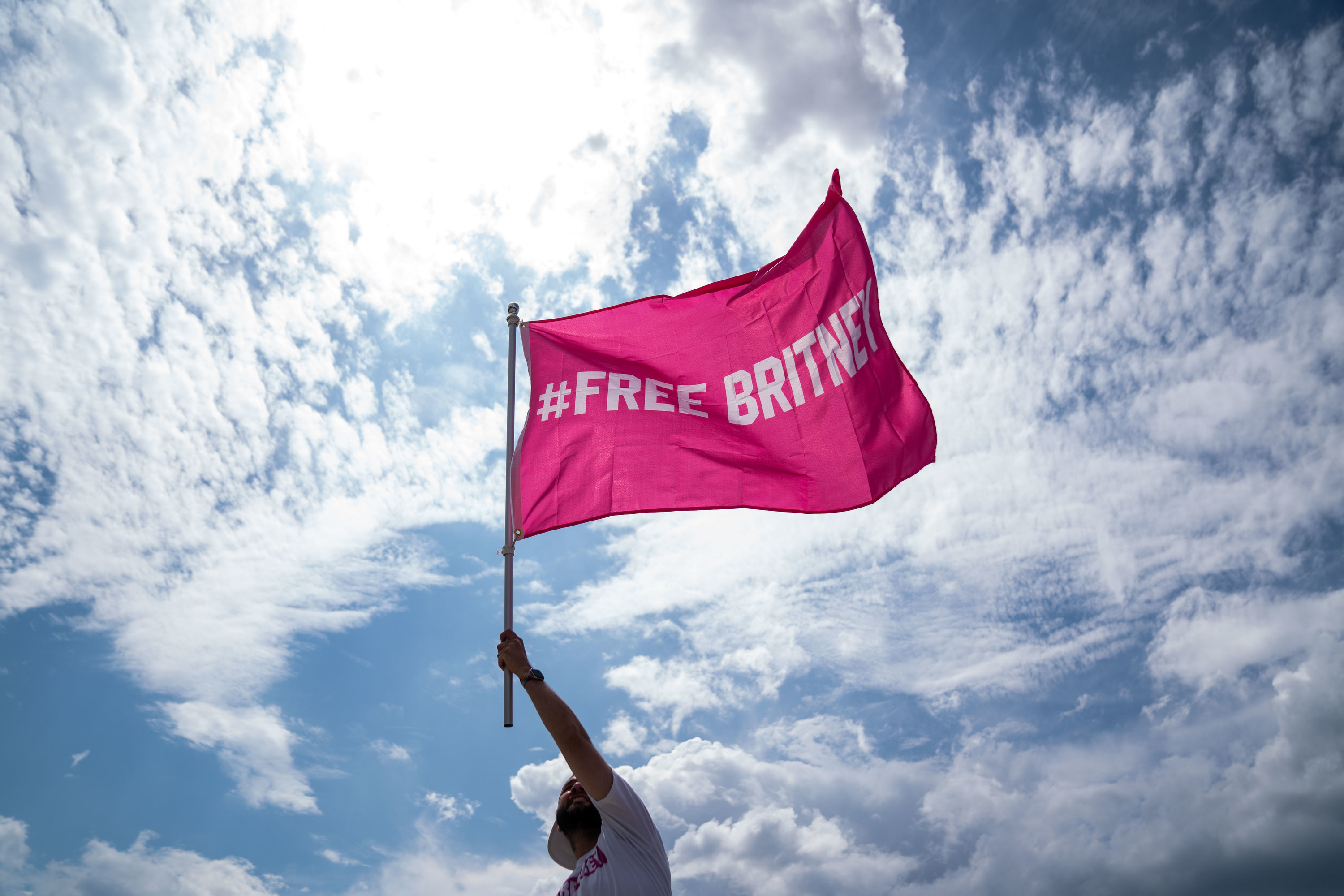 Photo of someone waving a pink #FreeBritney flag