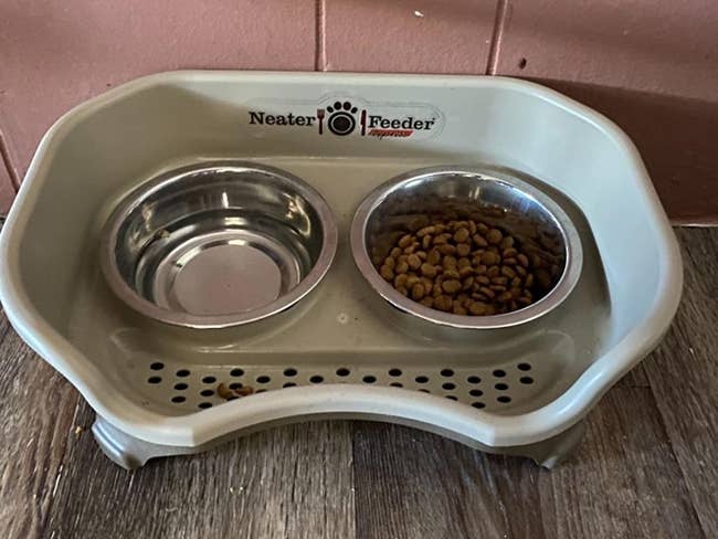 a reviewer bowl with water in one bowl and kibble in the other