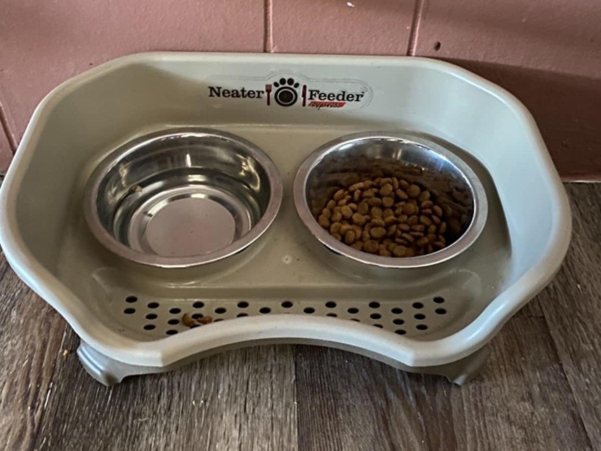 a reviewer photo of the bowl with water in one bowl and kibble in the other
