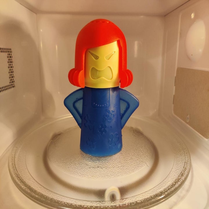 the microwave odor remover in a microwave